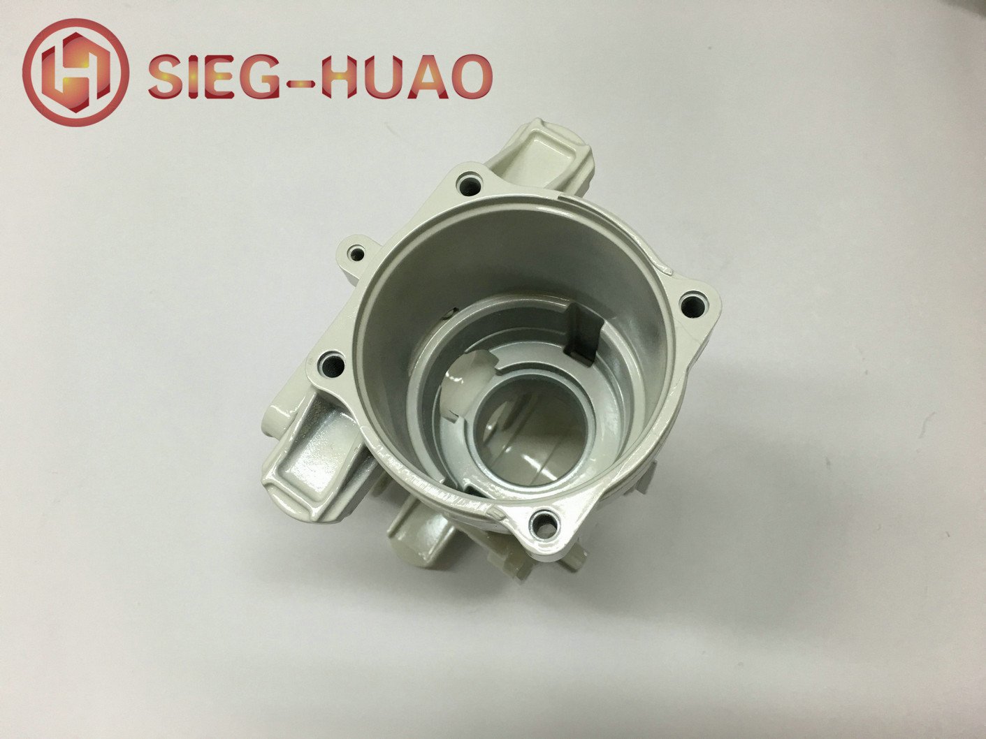 Magnesium Alloy Die Casting Powder Coated Motor Housing for Lawn Mower