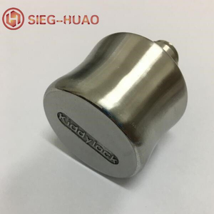Investment Casting Stainless Steel Kiddylock for Swimming Pool Accessories