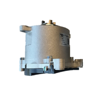 Car steering gear -CEPS